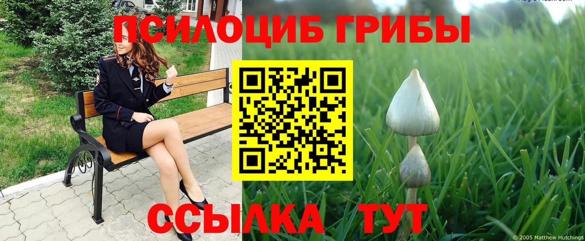 Галлюциногенные грибы мухоморы  Псилоцибиновые грибы MAGIC MUSHROOMS  Вход с VPN  Тула 